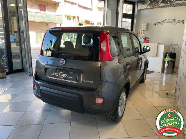 FIAT Panda 1.0 FireFly 70cv S&S Hybrid