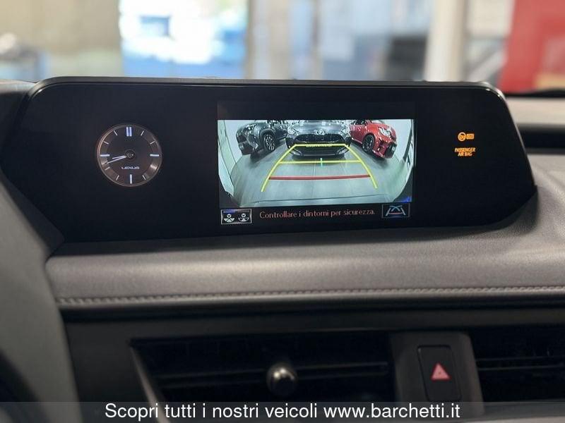 Lexus UX Hybrid 4WD Executive