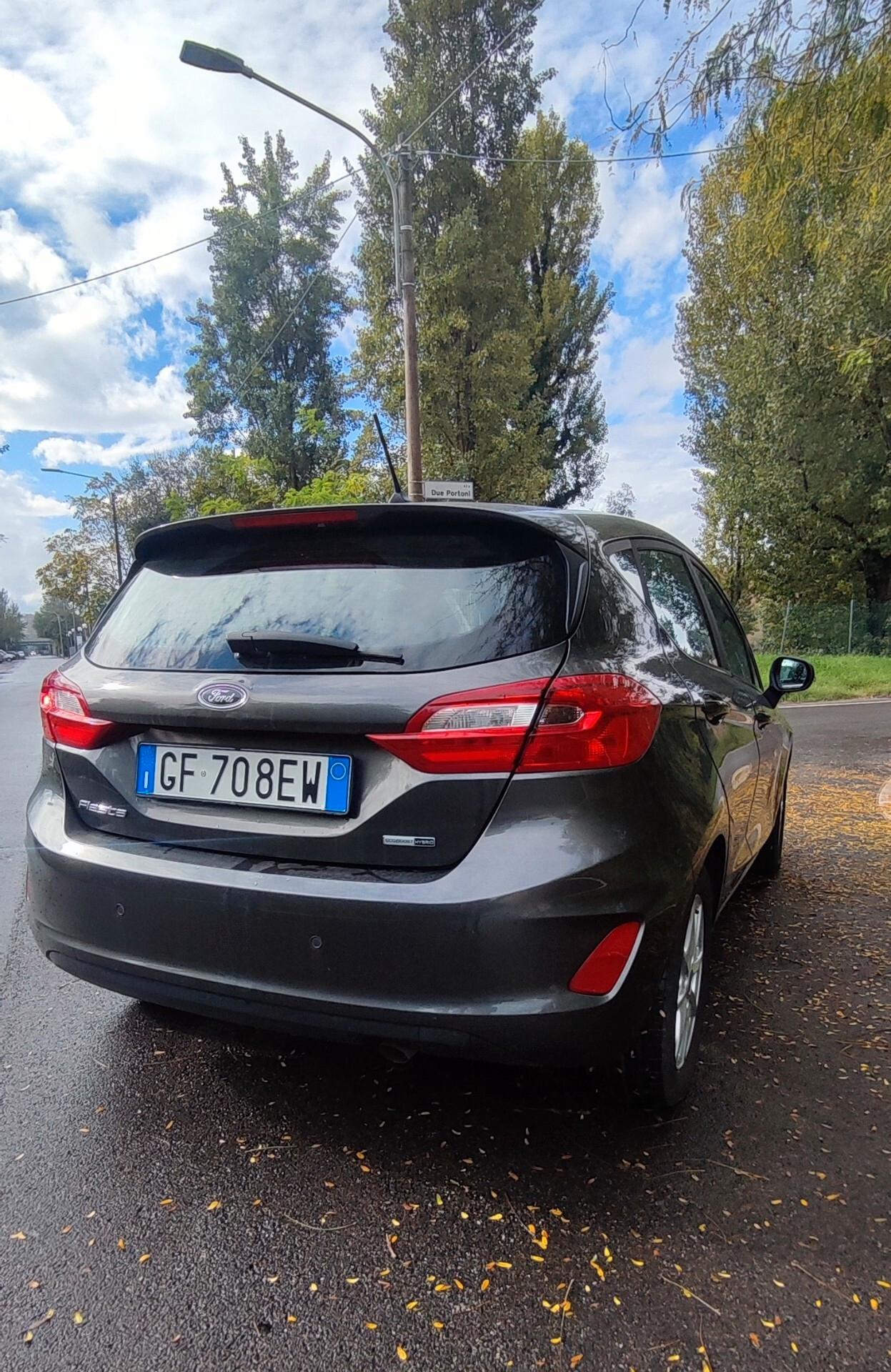 Ford Fiesta 1.0 benzina Ecoboost Hybrid 125 CV 5 porte/autocarro 4 posti