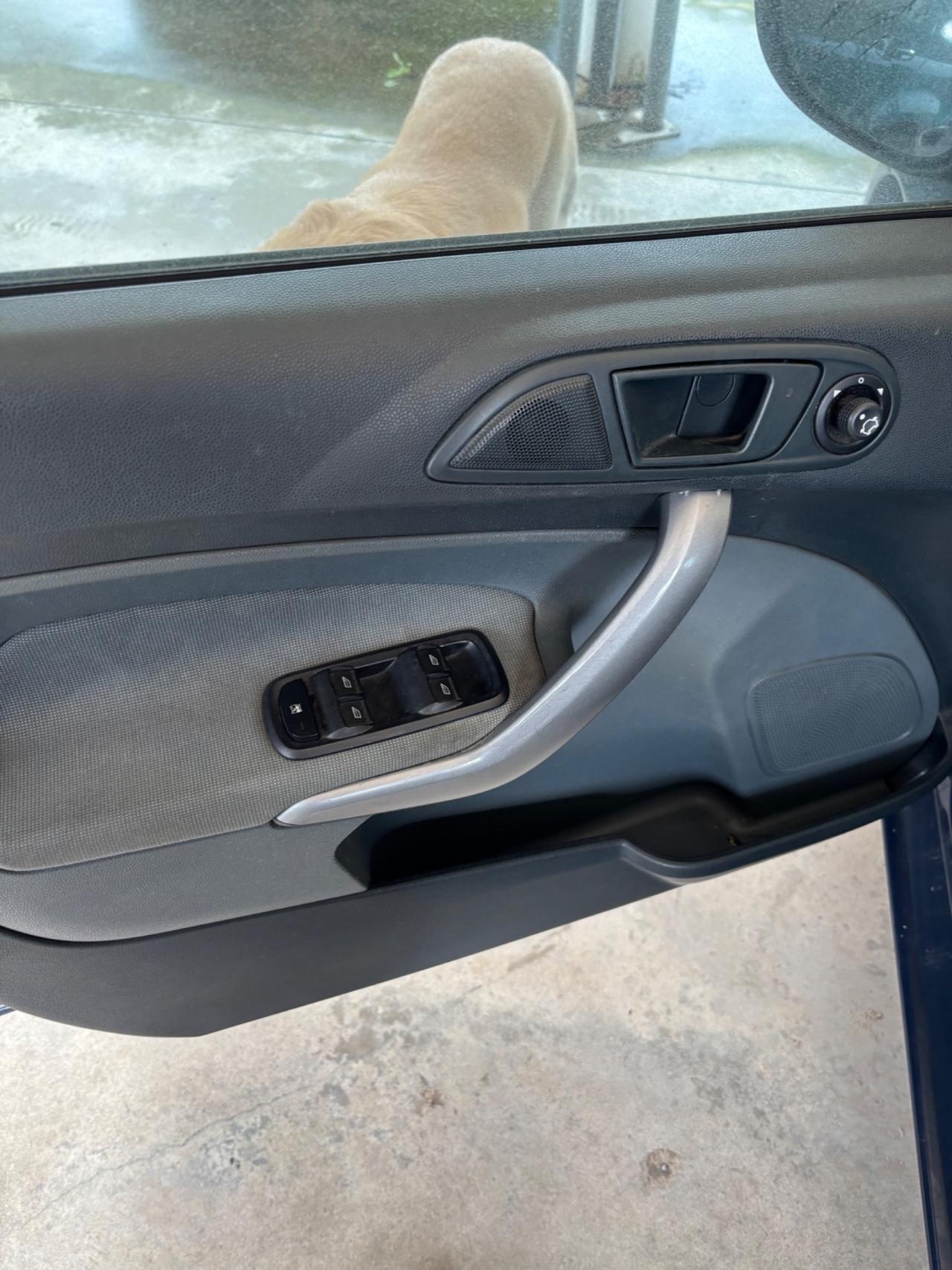 Ford Fiesta Fiesta 1.2 82CV 5 porte neo patentati