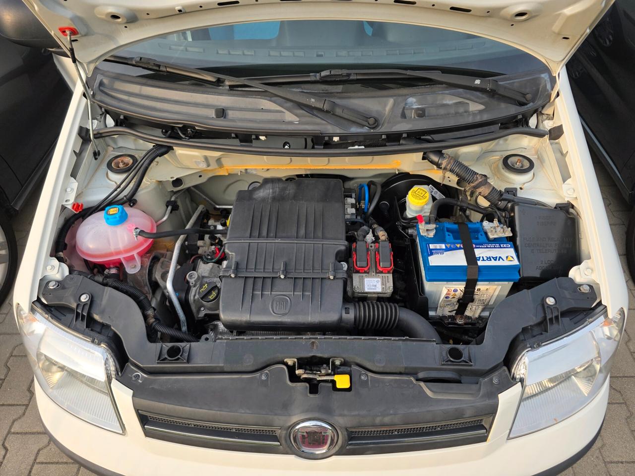 Fiat Panda 1.2 benzina 4x4 garantita 12 mesi