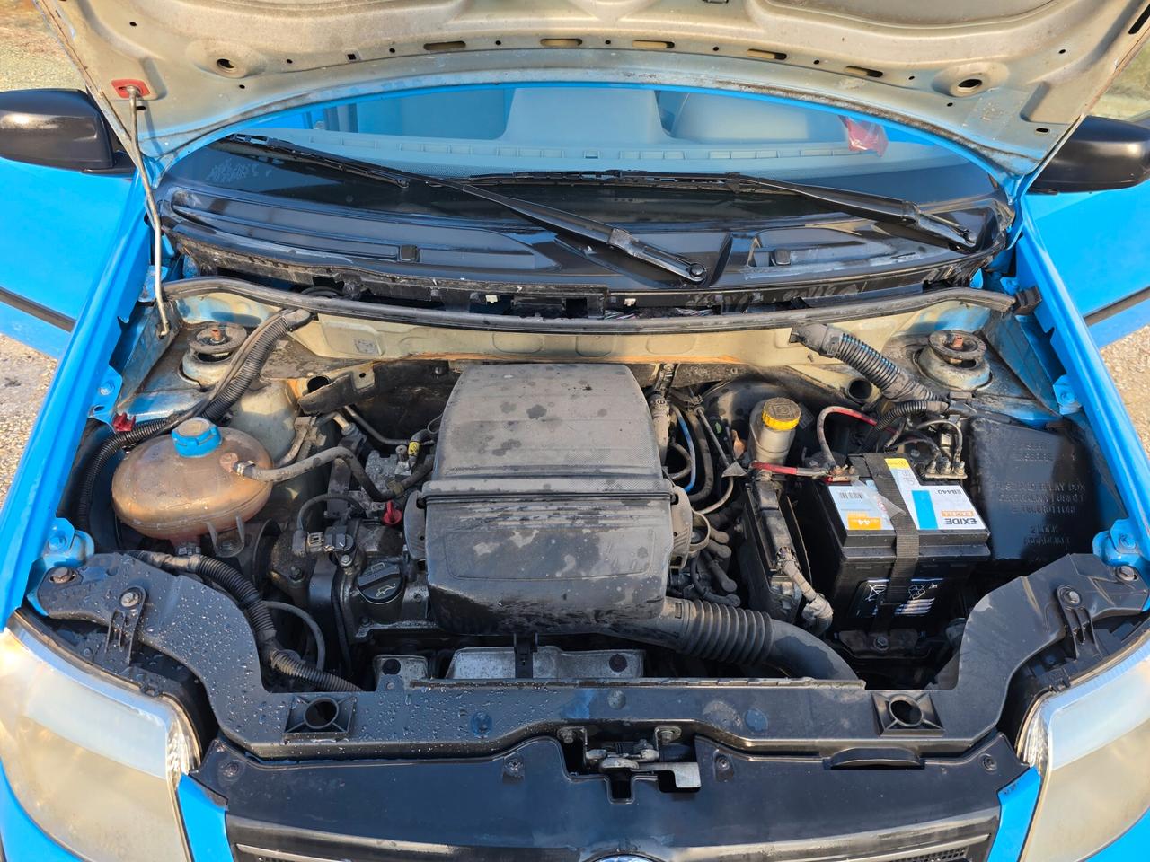 Fiat Panda 1.2 Dynamic 60CV BENZINA