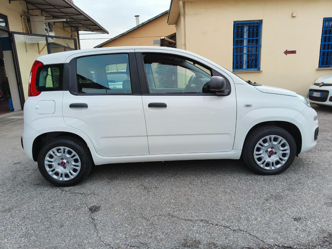 FIAT Panda 1.2 Easy NO VINCOLI