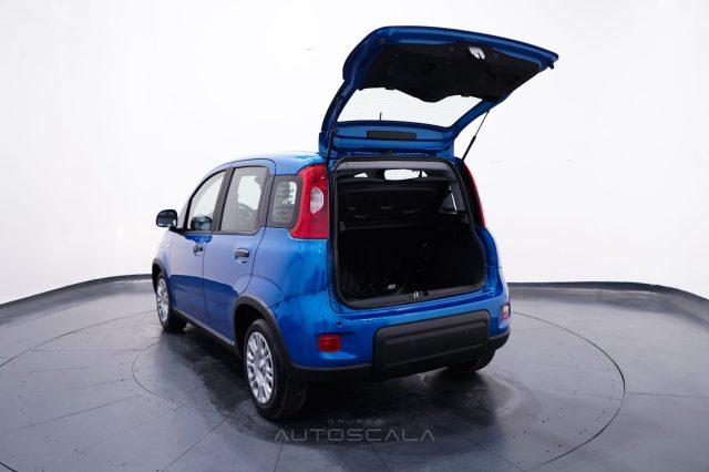 FIAT New Panda My25 1.0 FireFly S&S Hybrid #Pack City #5posto