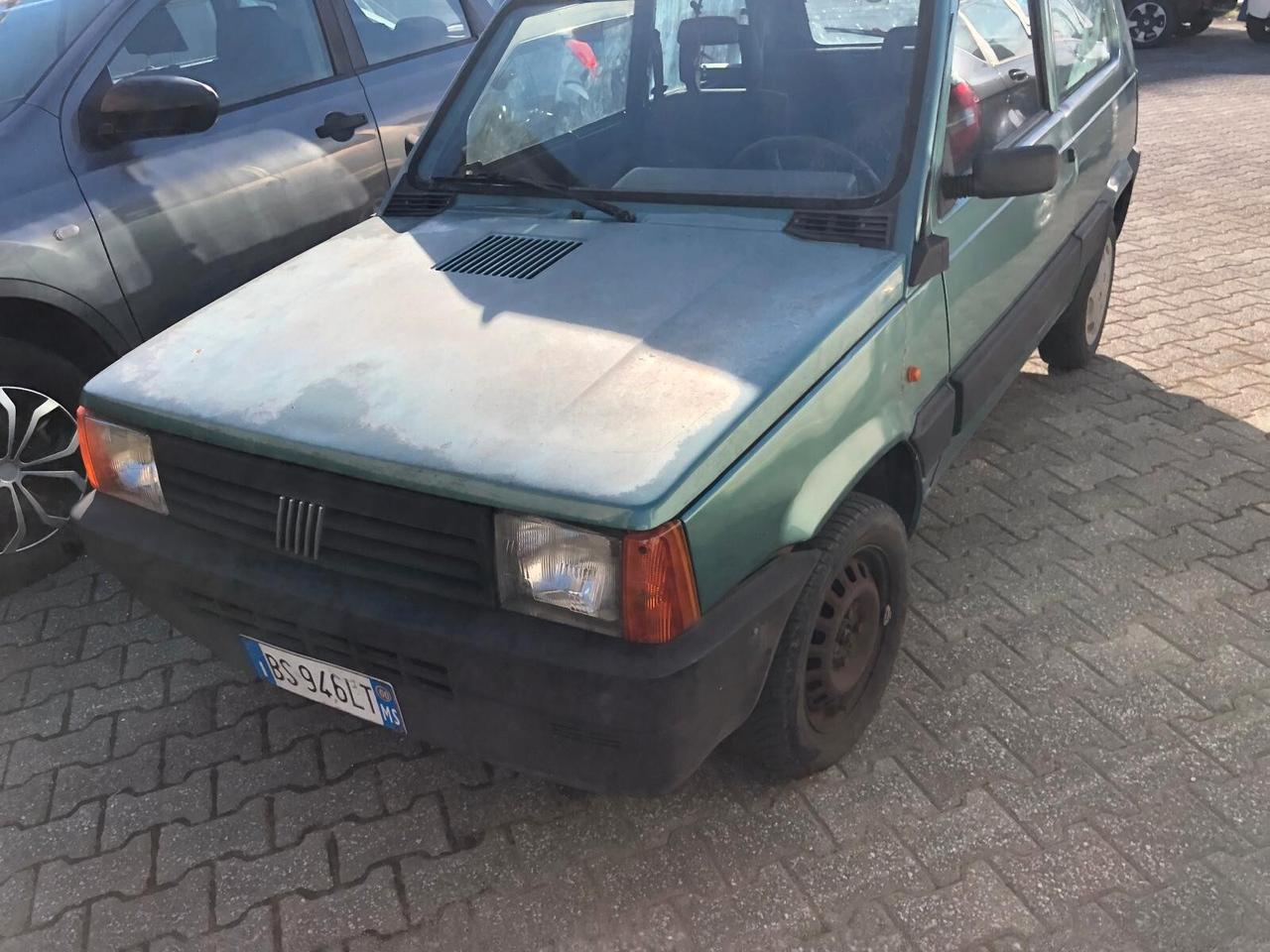 Fiat Panda 900 i.e. cat Young
