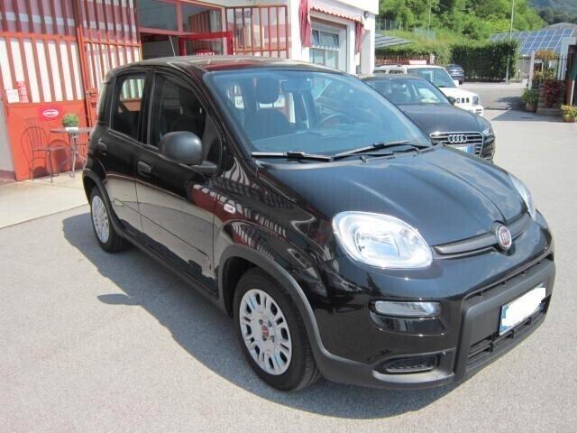 Fiat Panda 1.0 FireFly S&S Hybrid NEOPATENTATI