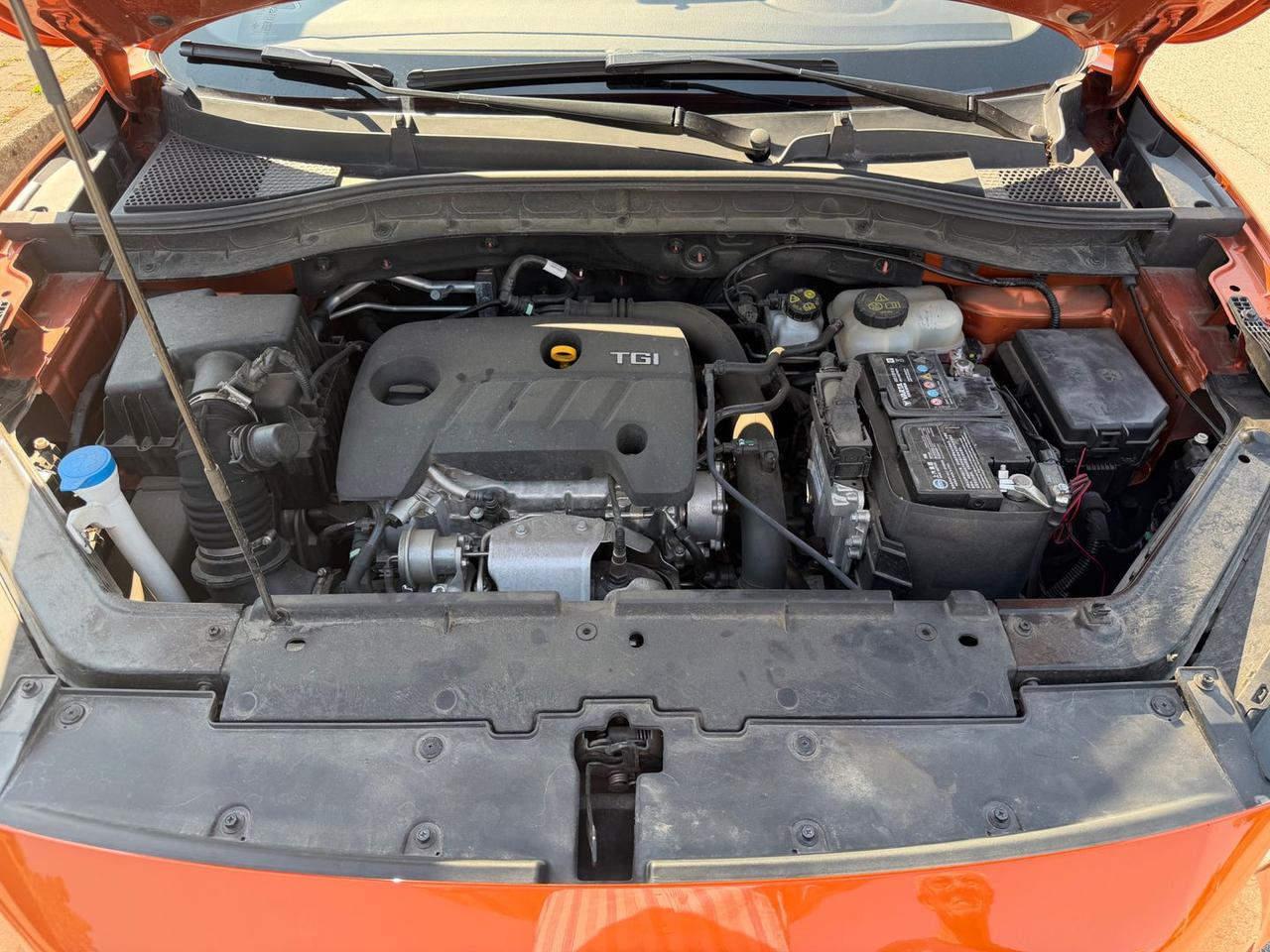 Mg ZS Luxury 1.0 T GDI #11862