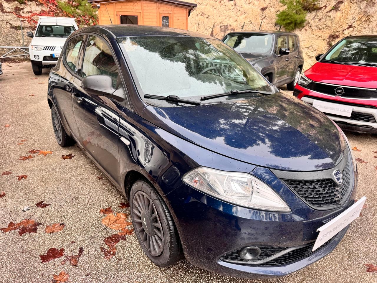 Lancia Ypsilon 1.2 69 CV 5 porte Elefantino