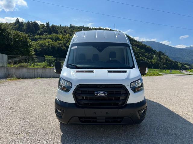 FORD Transit 350 2.0TDCi EcoBlue 170CV PL-TM Furgone Trend