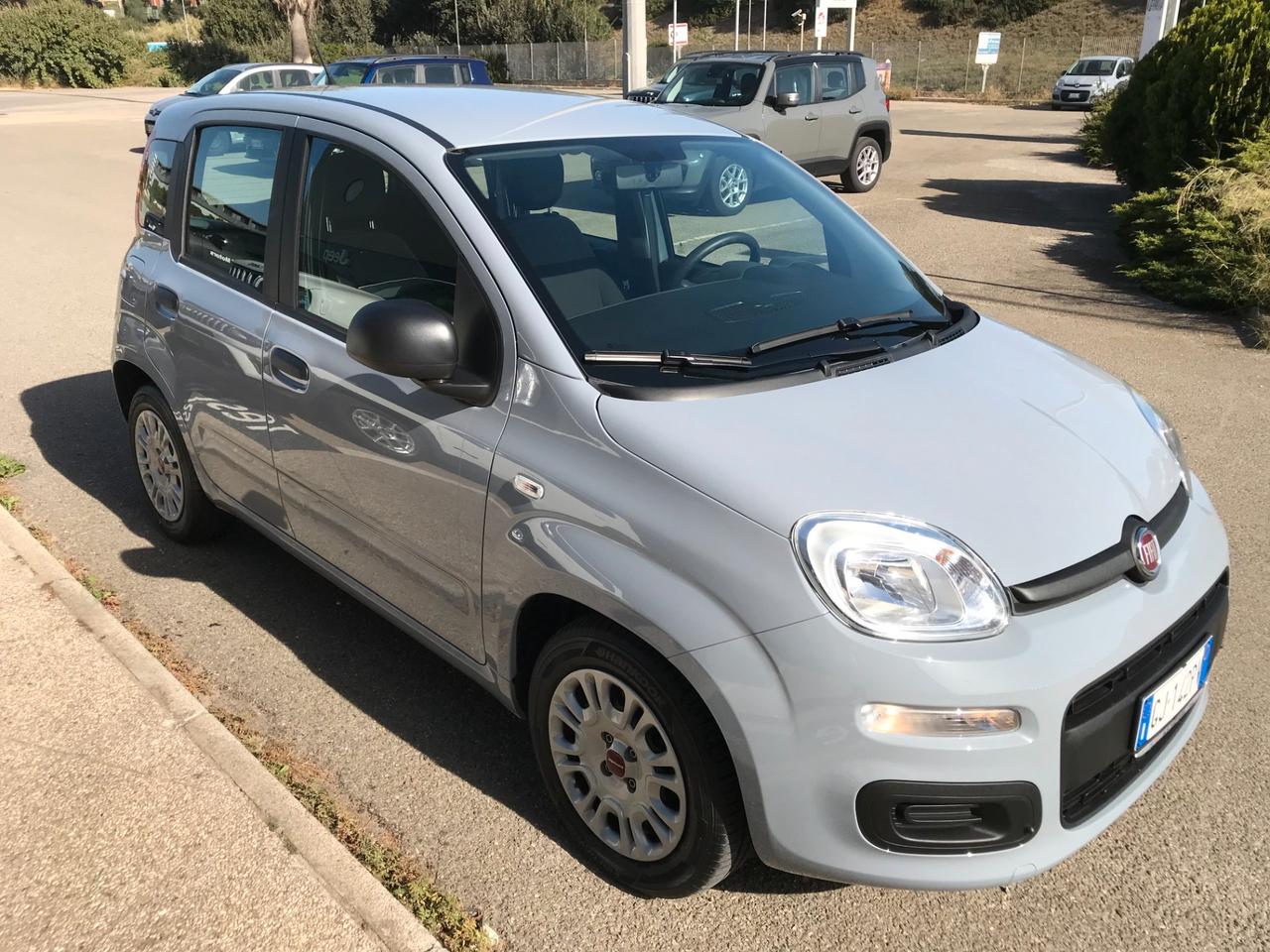 FIAT PANDA 1.0 FireFly S&S Hybrid 70cv - ANNO 03/2022