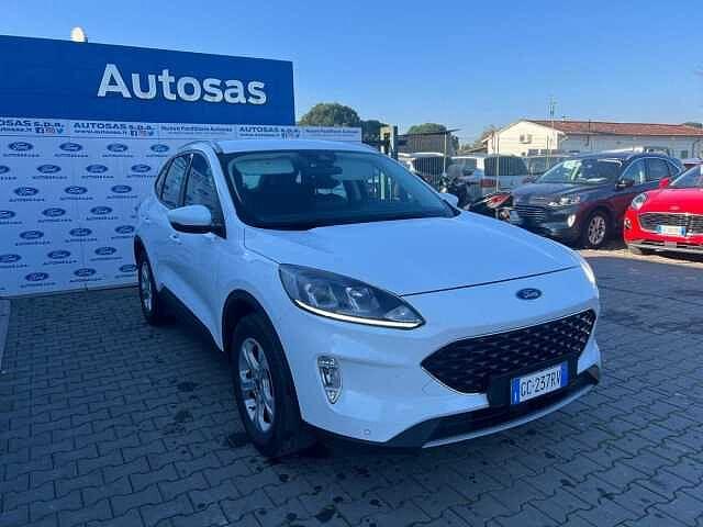 Ford Kuga 1.5 EcoBlue 120 CV 2WD Titanium Business