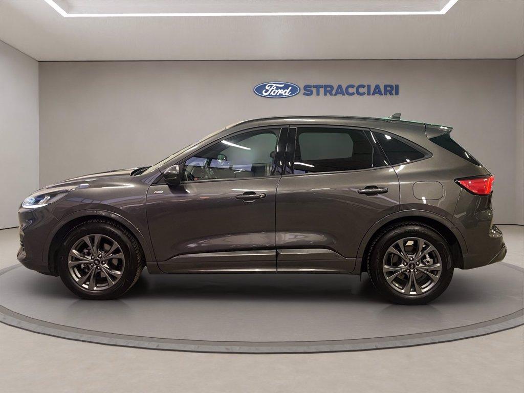 FORD Kuga 1.5 ecoblue ST-Line 2wd 120cv auto del 2024
