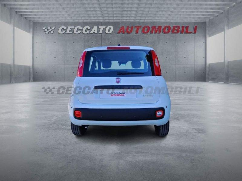 FIAT Panda Panda 1.0 firefly hybrid s&s 70cv