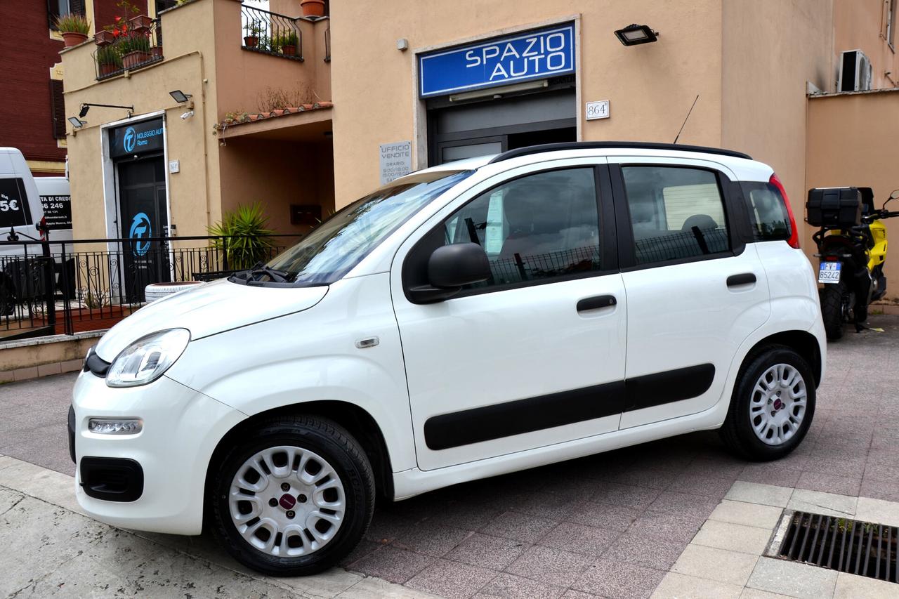 Fiat Panda 1.2 EASY 69CV **OK NEOPATENTATI**PREZZO VERO**