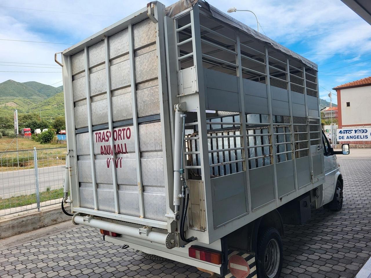 Ford Transit 2.5 diesel TRASPORTO ANIMALI VIVI - BESTIAME UNICO PROPRIETARIO