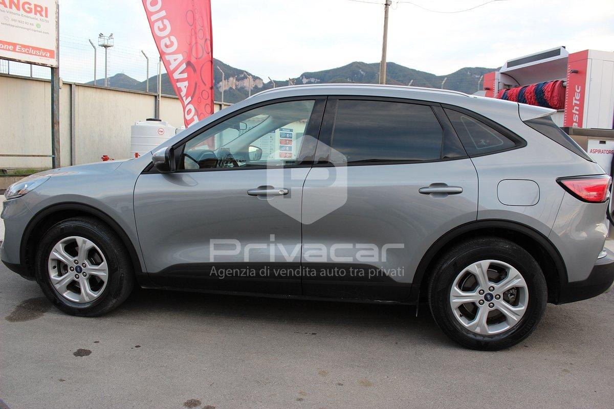 FORD Kuga 1.5 EcoBlue 120 CV 2WD Titanium Business
