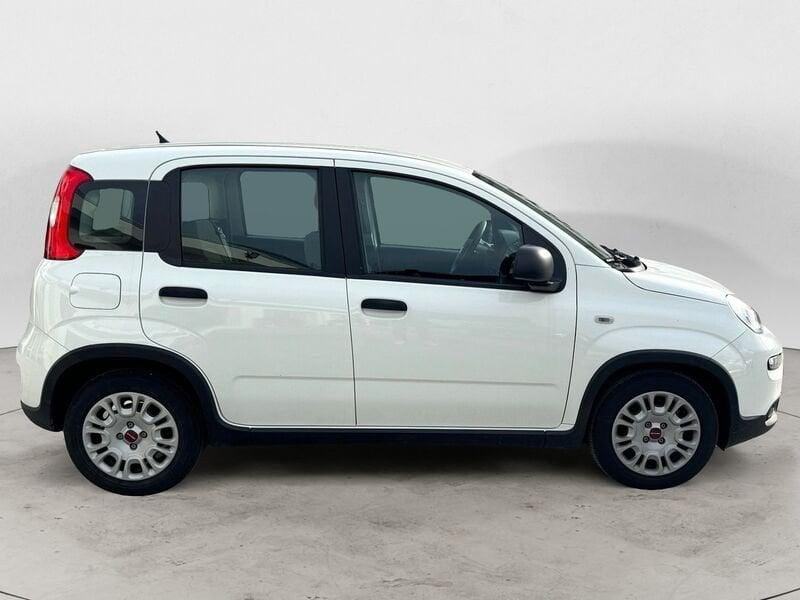 FIAT Panda 1.0 FireFly Hybrid 70 CV S&S