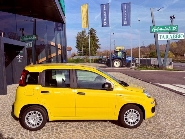 FIAT New Panda ICON - KM 0 10/2025- 5° POSTO - RADIO - SENSORI