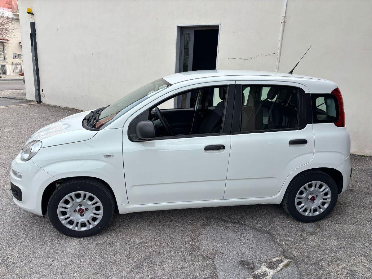 FIAT Panda 1.2 Easy 5 POSTI