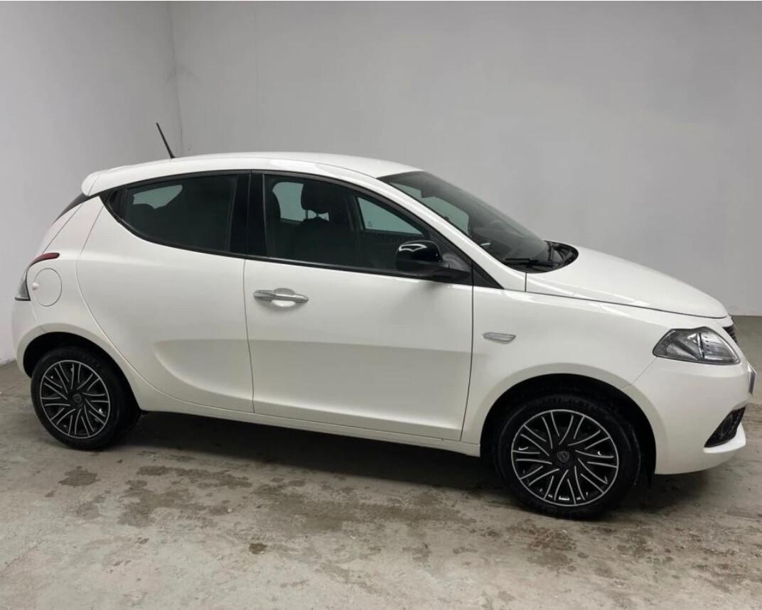 Lancia Ypsilon 1.2 69 CV 5 porte S&S Gold