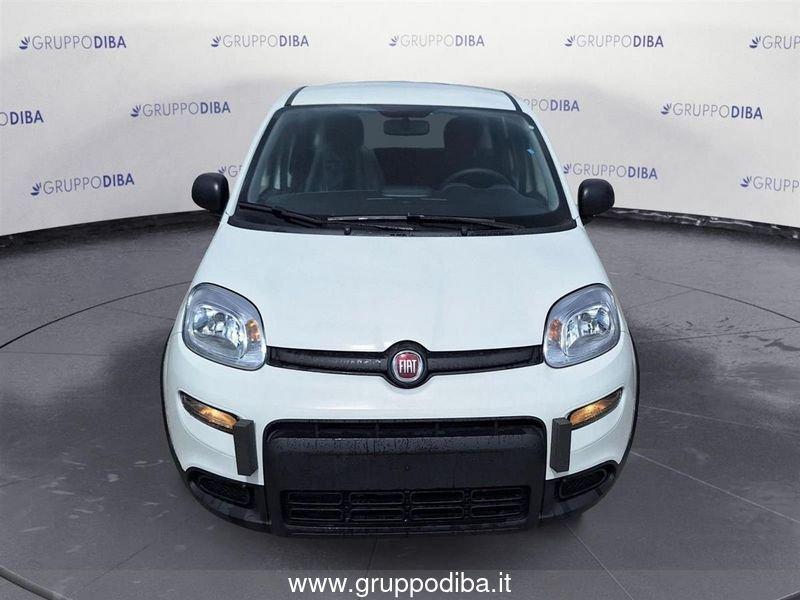 FIAT Panda 1.0 70cv Hybrid Pandina