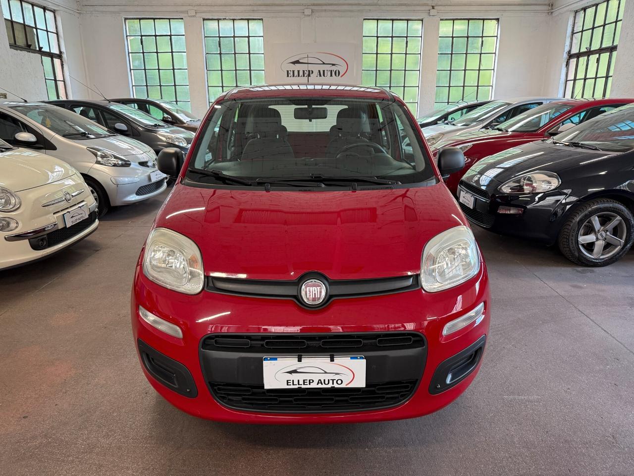 Fiat Panda 1.2 OK NEOPATENTATI - CINGHIA OK