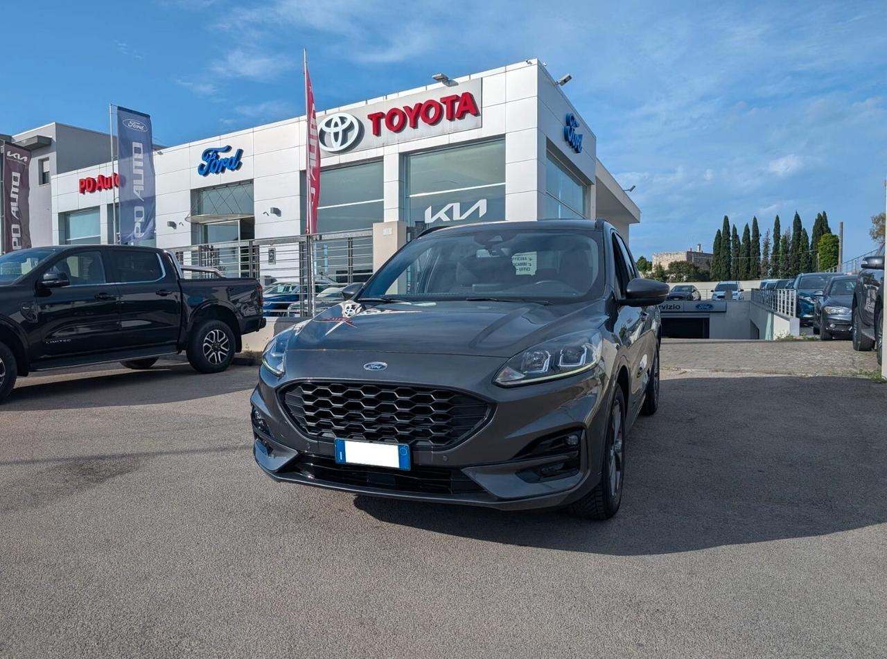 Ford Kuga 1.5 EcoBlue 120 CV aut. 2WD ST-Line