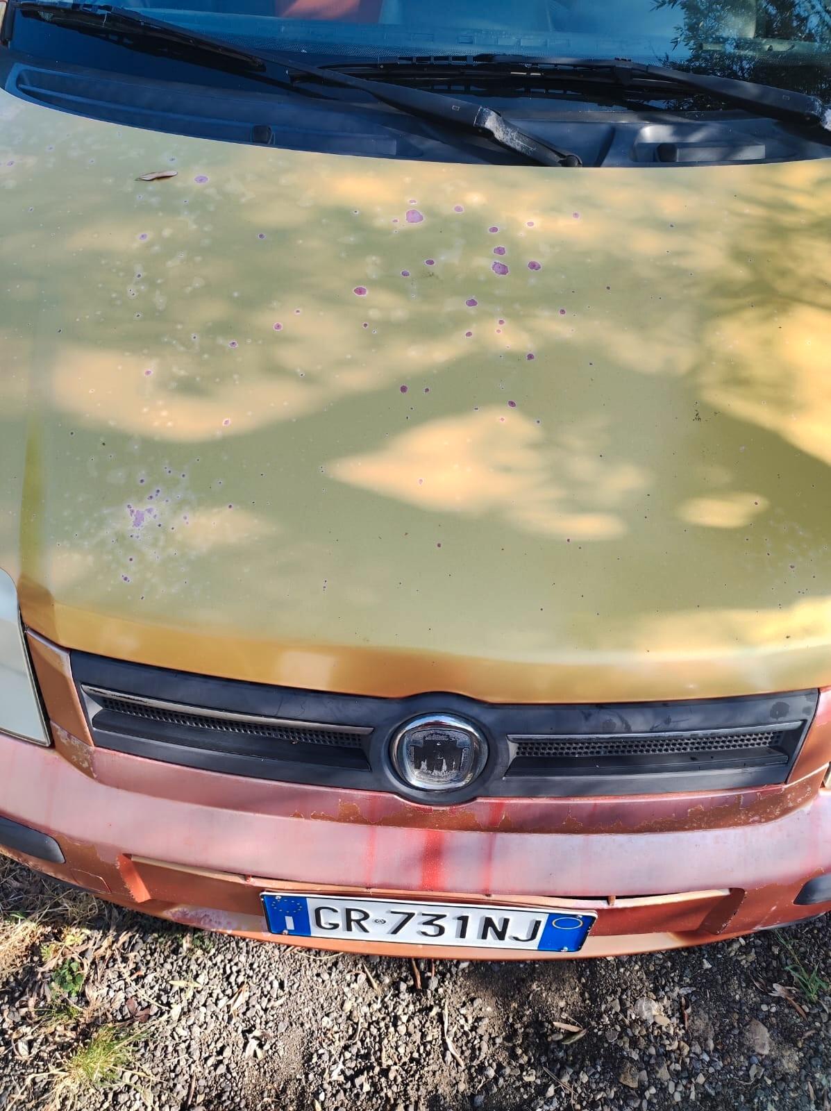 Fiat Panda 1.2 Dynamic Metano