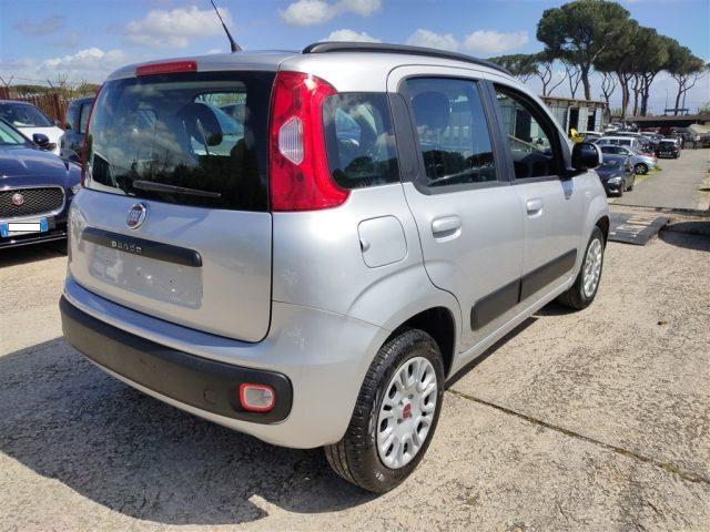 FIAT Panda 1.2 Lounge OK NEOPATENT. CLIMA,FENDINEBBIA