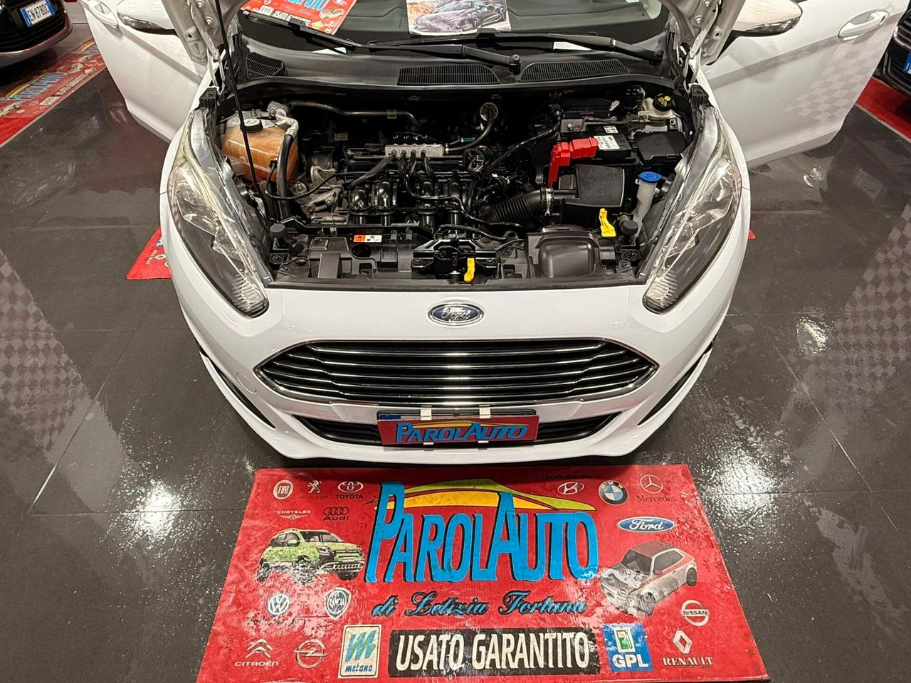 Ford Fiesta 1.4 97cv GPL Titanium - 2013