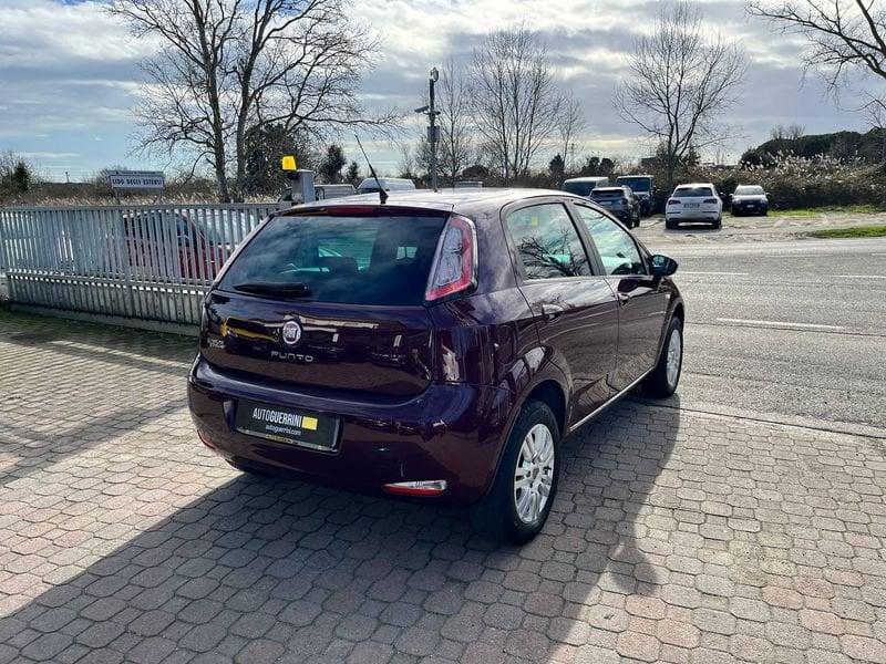 FIAT Punto Punto 1.4 8V 5 porte Natural Power Easy