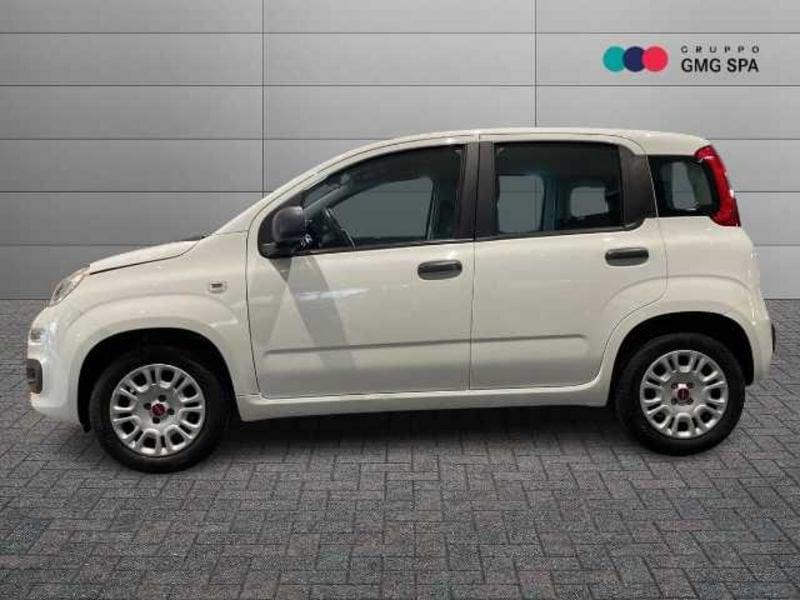 FIAT Panda III 2016 1.2 Easy s&s 69cv my19