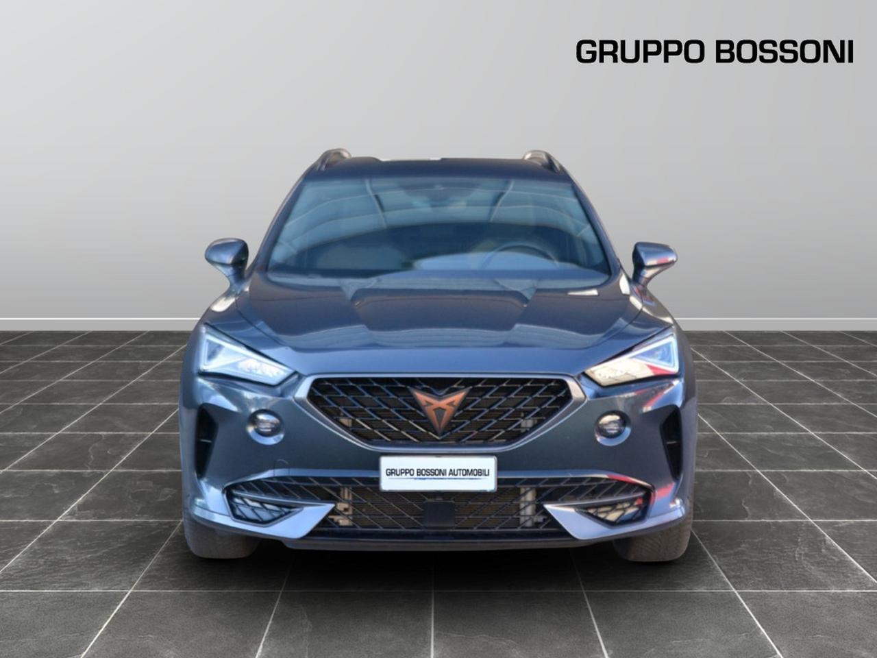 Cupra Formentor 2.0 tdi 150cv 4drive