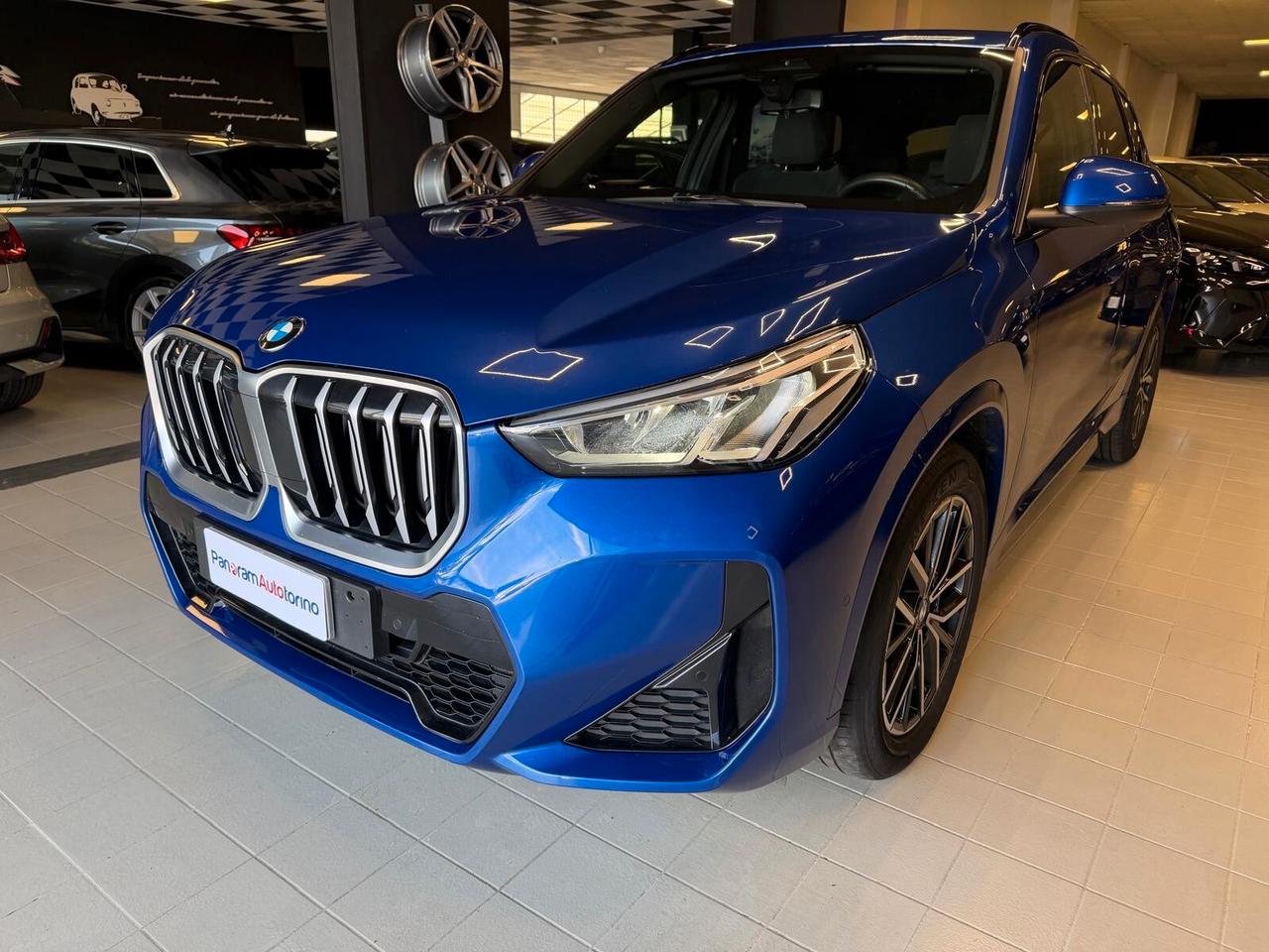 BMW X1 (U11) X1 xDrive 20d Msport