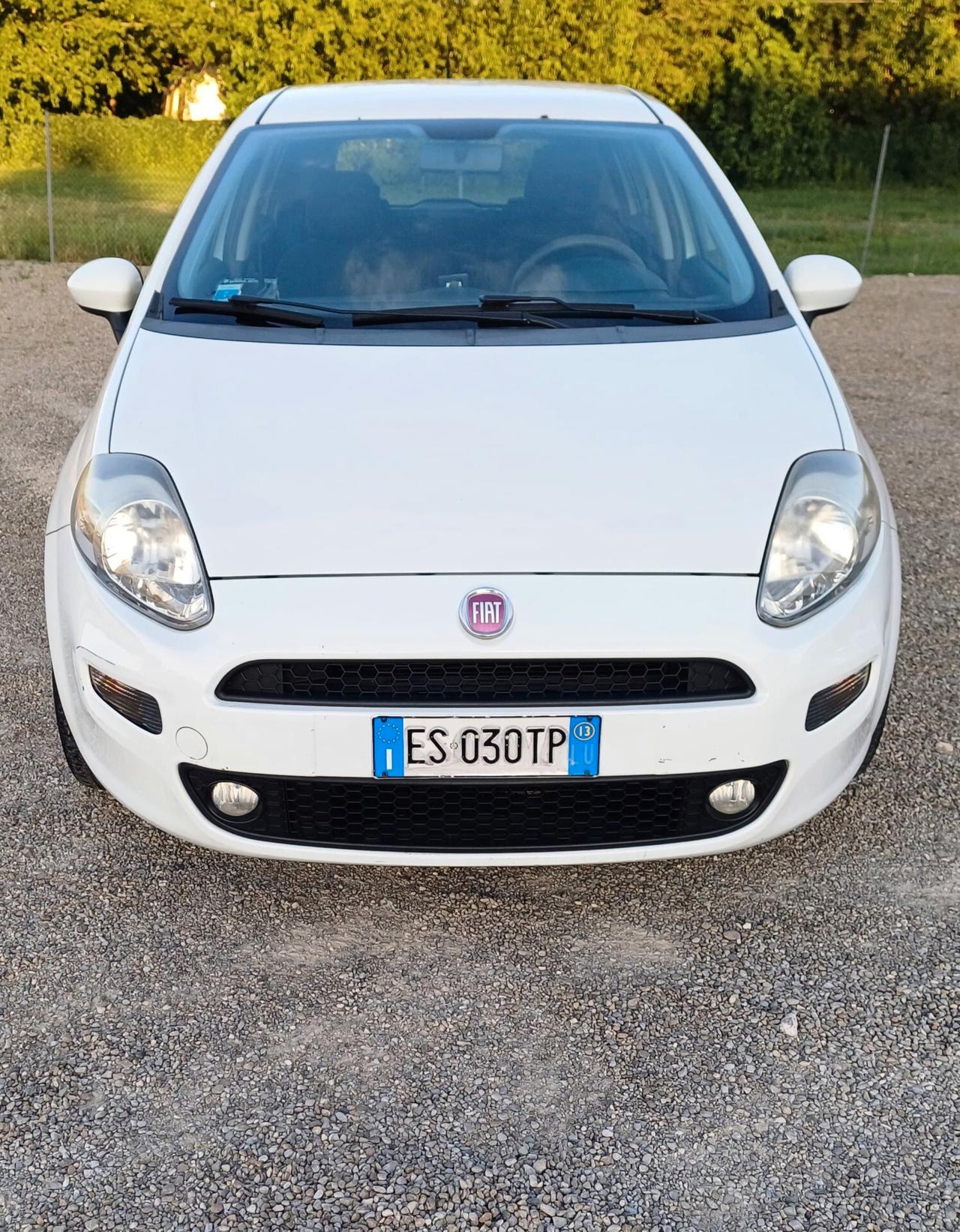 Fiat Punto 1.2 Benzina 5 porte Lounge