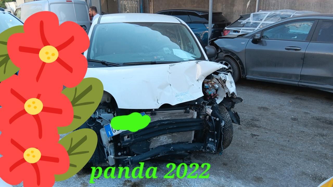 Fiat Panda hybrida incidentata sinistrata mondialcars 022