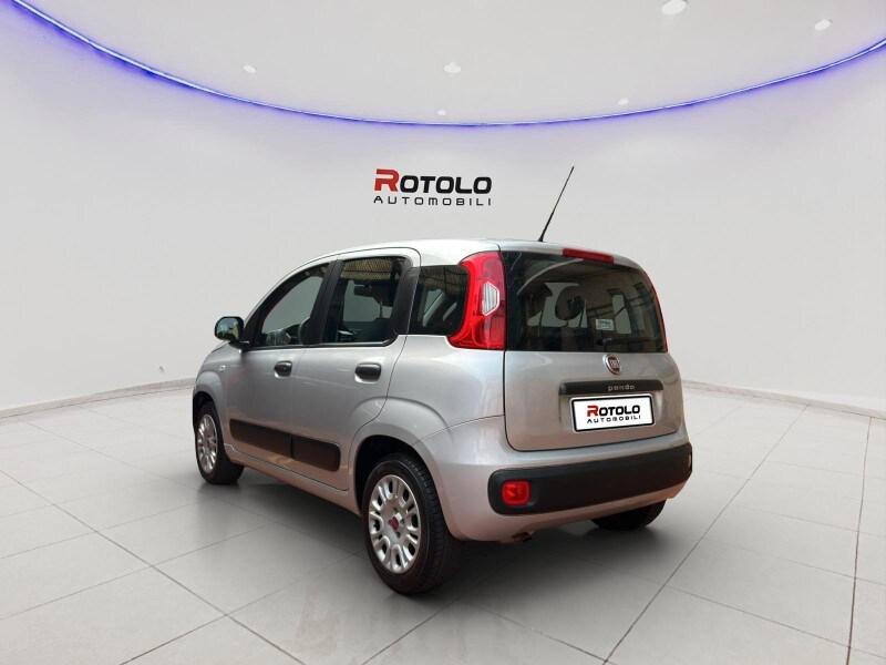 FIAT Panda 3ª serie Panda 1.2 Easy