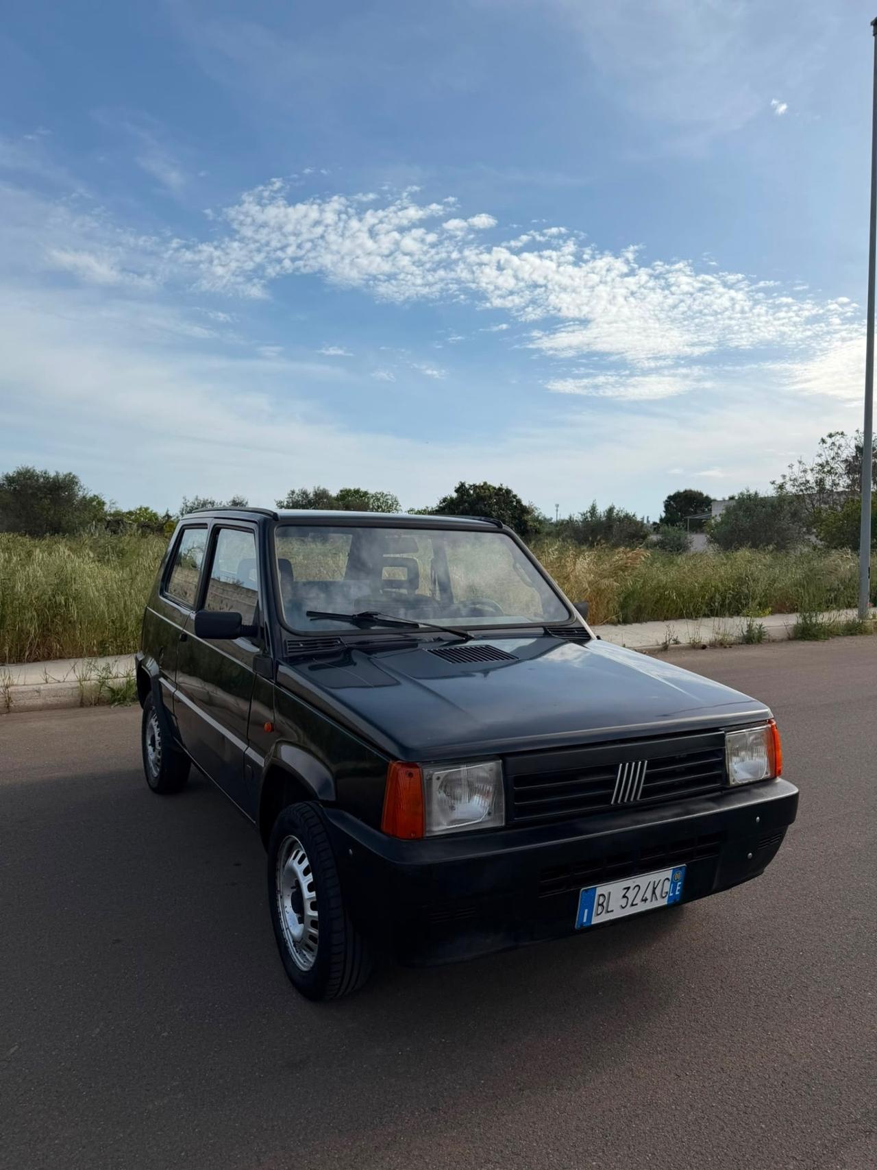 Fiat Panda 900 i.e. cat Young