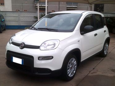 Fiat Panda 1.0 FireFly Hybrid *PREZZO PROMO*