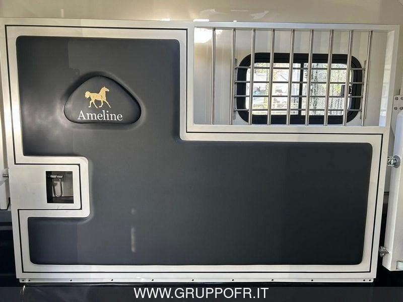 Renault Master RENAULT MASTER AMELINE 165 CV HARAS 5 POSTI NETTO IVA