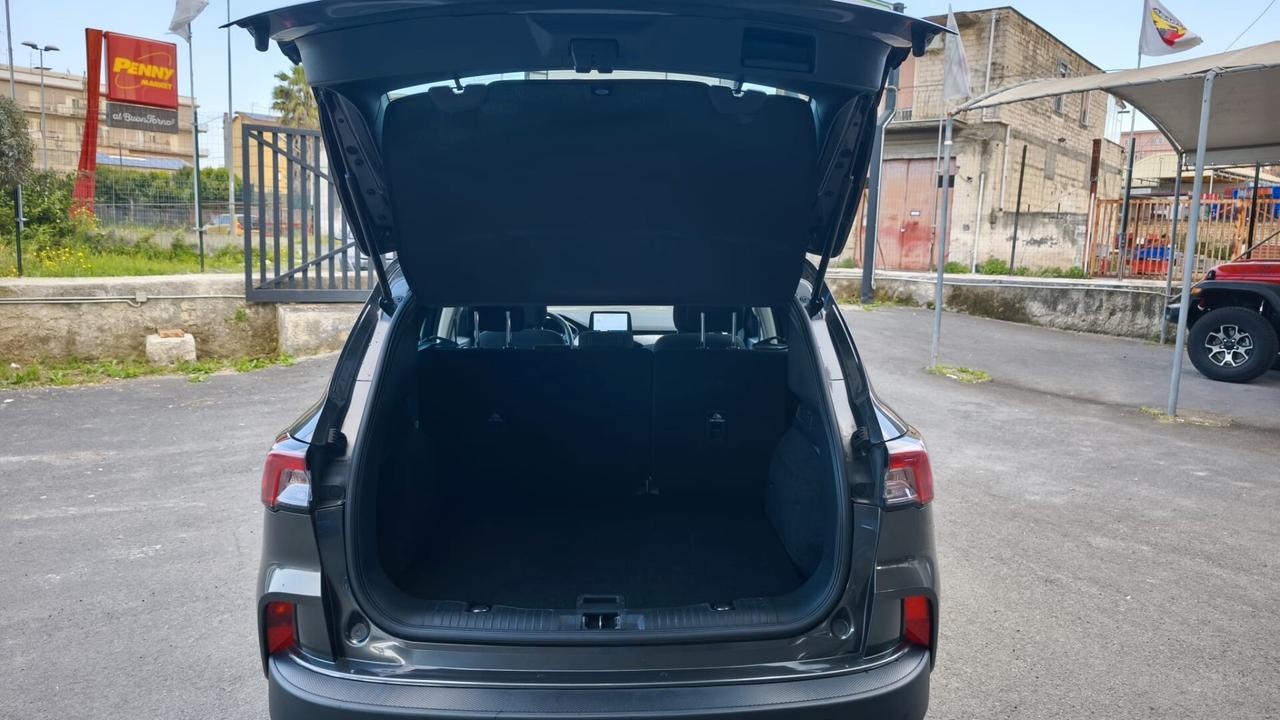 Ford Kuga 1.5 EcoBlue 120 CV aut. 2WD