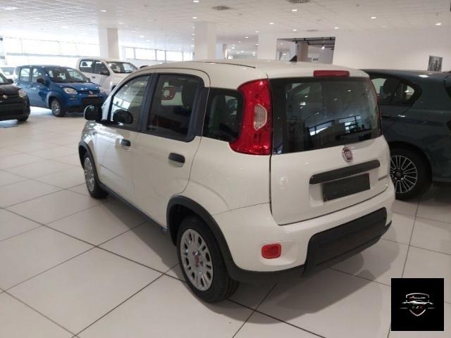 FIAT - Panda - 1.0 FireFly S&S Hybrid