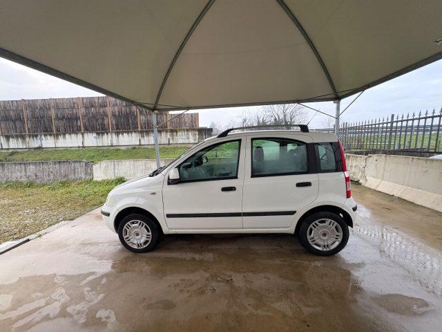 FIAT Panda 1.2 Dynamic BENZ/METANO OK NEOPATENTATI FARI FENDI