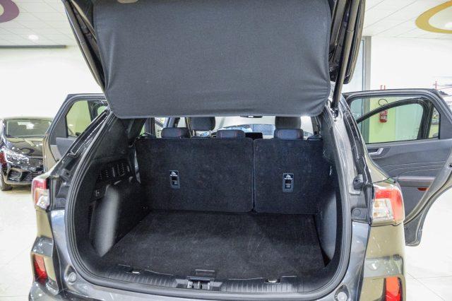 FORD Kuga 1.5 EcoBlue 120 CV 2WD ST-Line