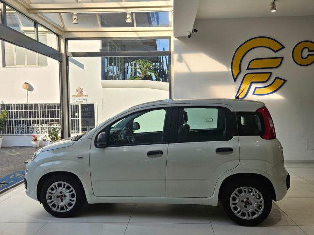 FIAT Panda 1.0 FireFly S&S Hybrid da ?119,00 mensili