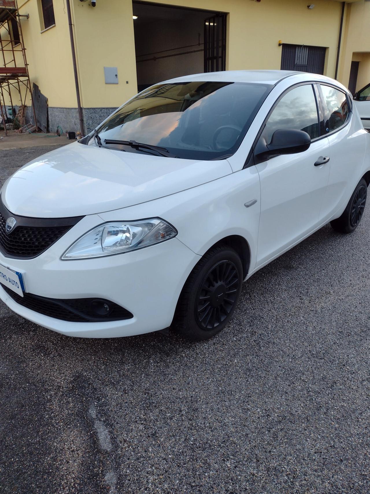 Lancia Ypsilon 1.2 69 CV 5 porte S&S Elefantino Blu