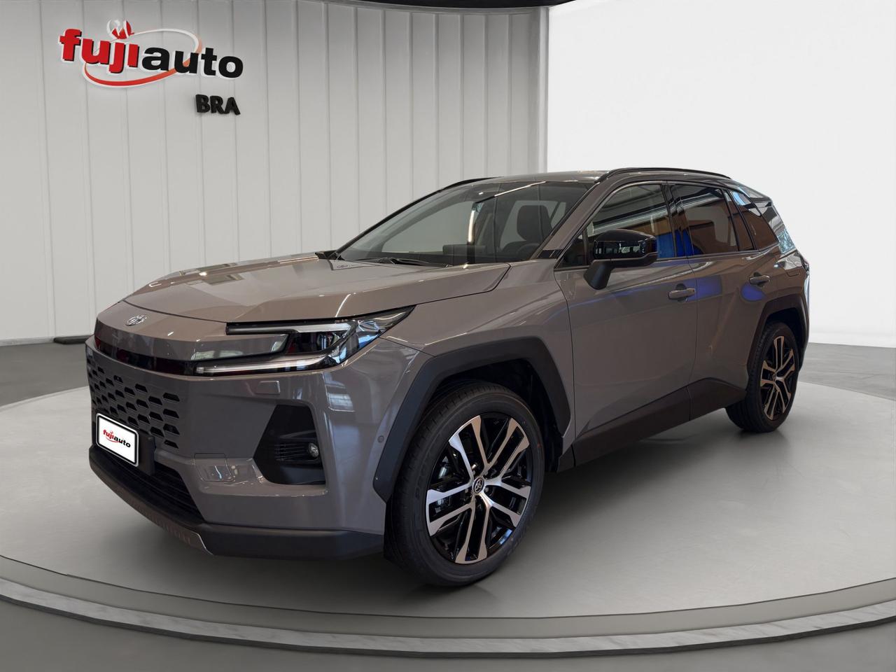 Toyota Rav4 2.5 hybrid Premium e-cvt