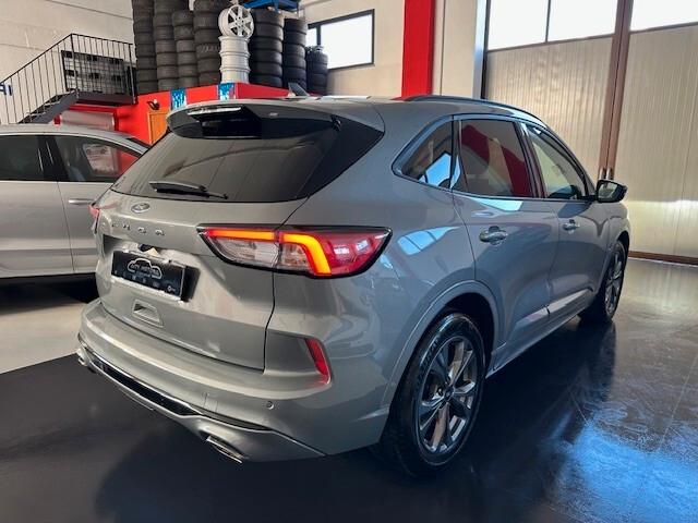 Ford Kuga 1.5 EcoBlue 120 CV aut. 2WD ST-Line PROMO