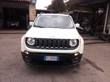 Jeep Renegade 1.6 Mjt 120 CV Longitude 16