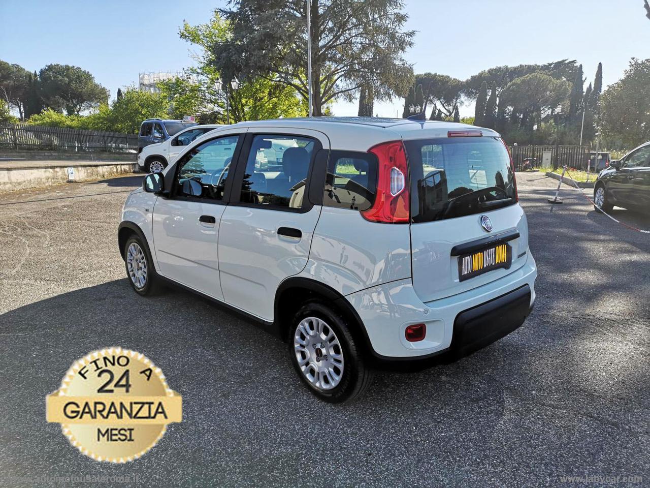 FIAT Panda 1.0 FireFly S&S Hybrid PROMO WEB